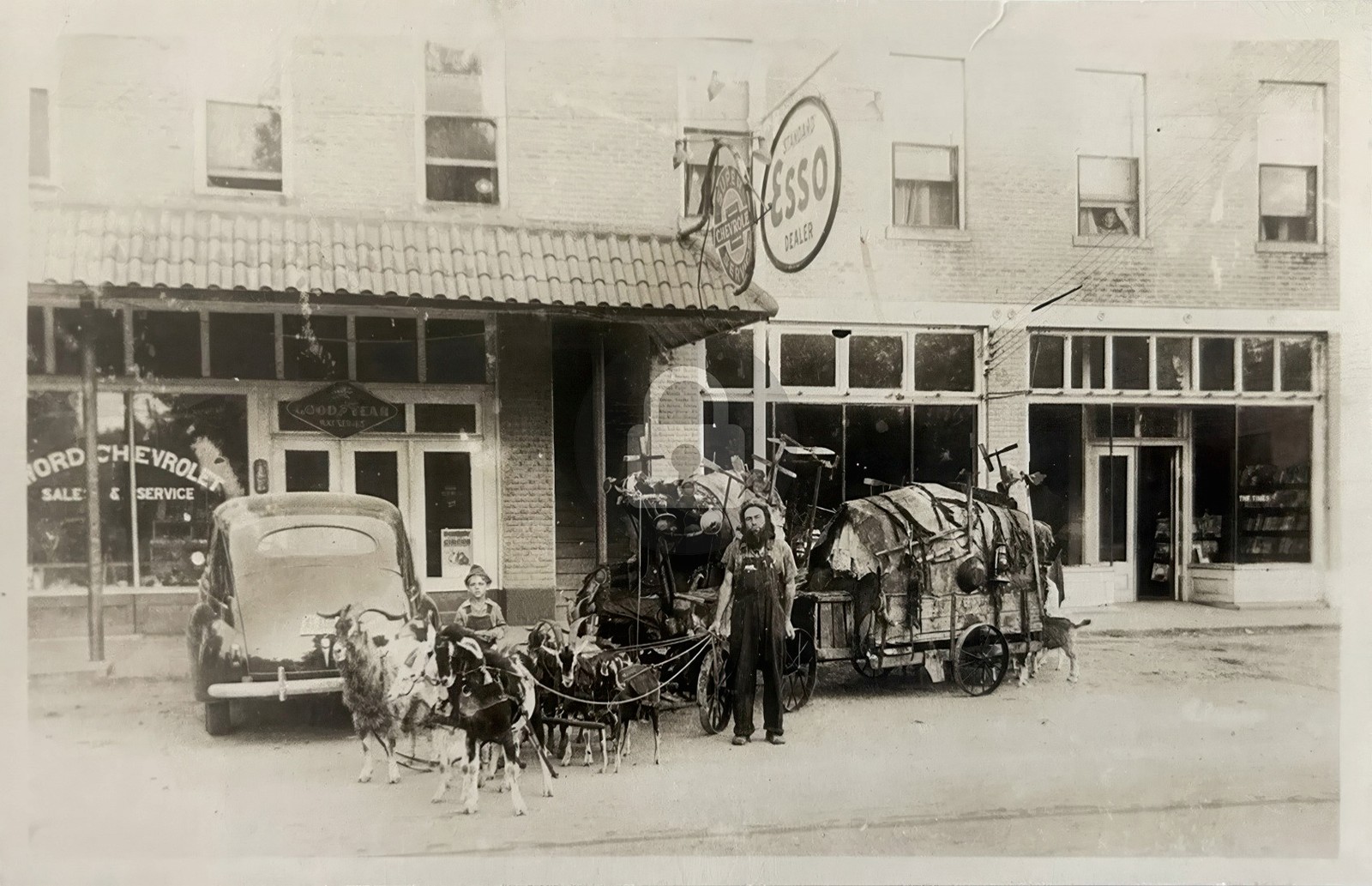 Manchester TN Ches McCartney Goat Cart Man Hugh Doak, RPPC Photo Postcard COPY