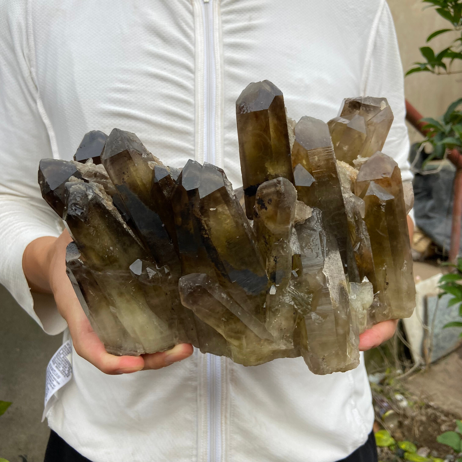10.7lb Large Natural Black Smoky Quartz Crystal Cluster Raw Mineral Specimen
