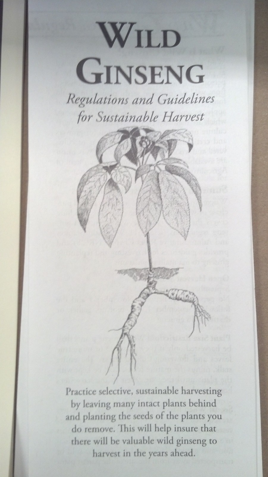 WISCONSIN, WILD GINSENG, REGULATIONS & GUIDELINES FOR SUSTAINABLE HARVEST
