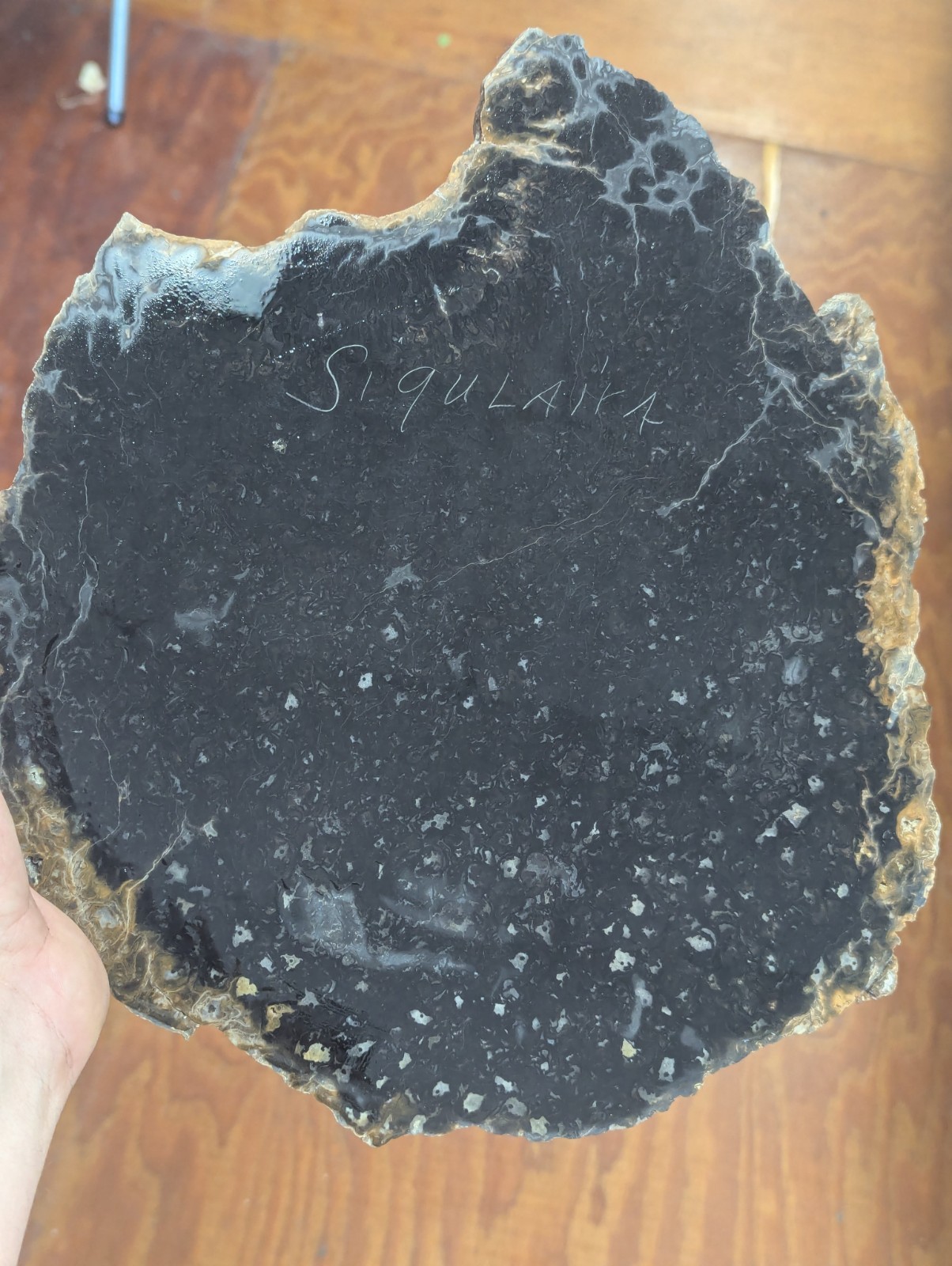 Huge Rare Black Petrified Wood Cluster Nice Agate Crystals Wow Big Slab