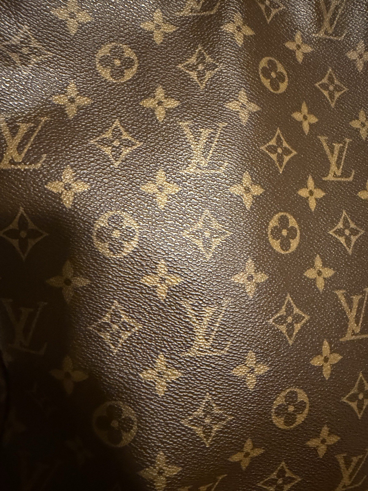 Louis Vuitton Monogram Looping GM