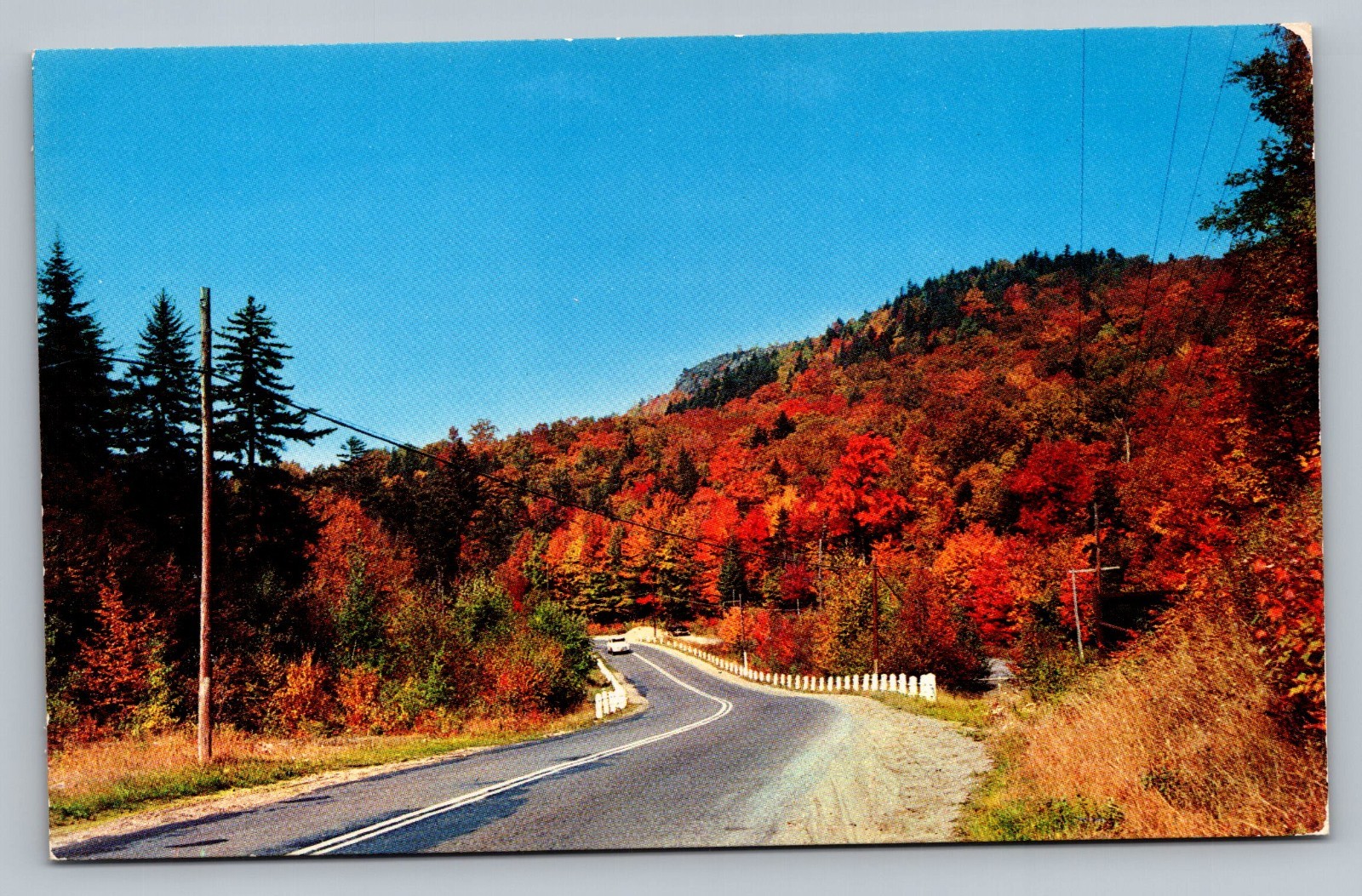 Fall Foliage Greetings Manchester Tennessee TN c1960 Vintage Postcard