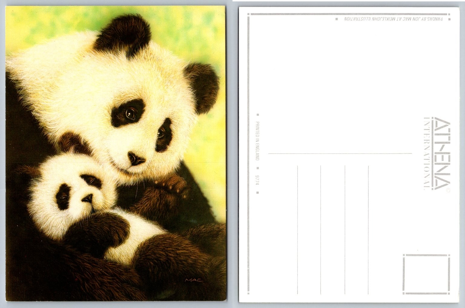 Athena International Postcard: Adorable Pandas by Jon Mac Illustration