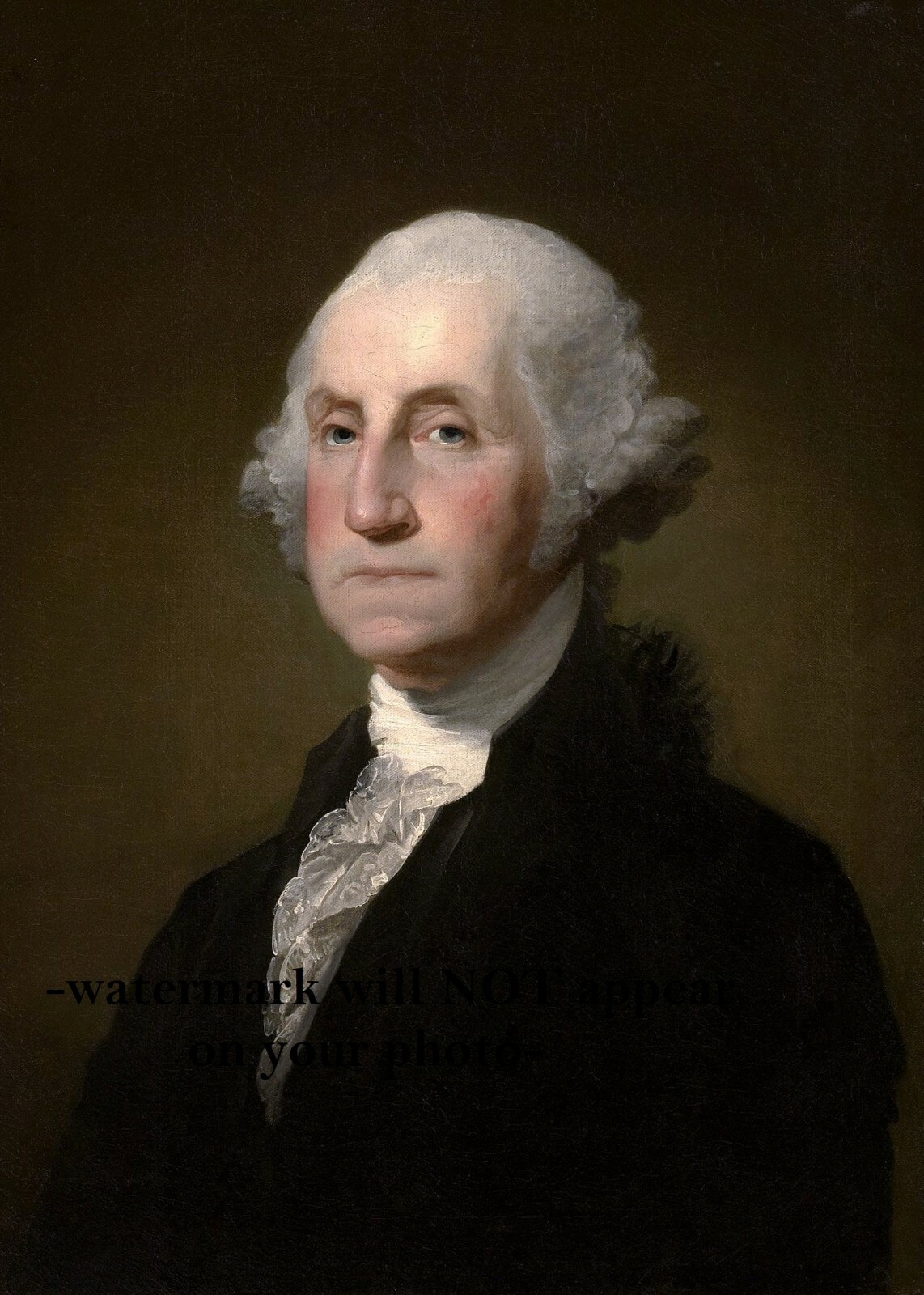 President George Washington PHOTO Official Portrait Art Print Photo, First Prez
