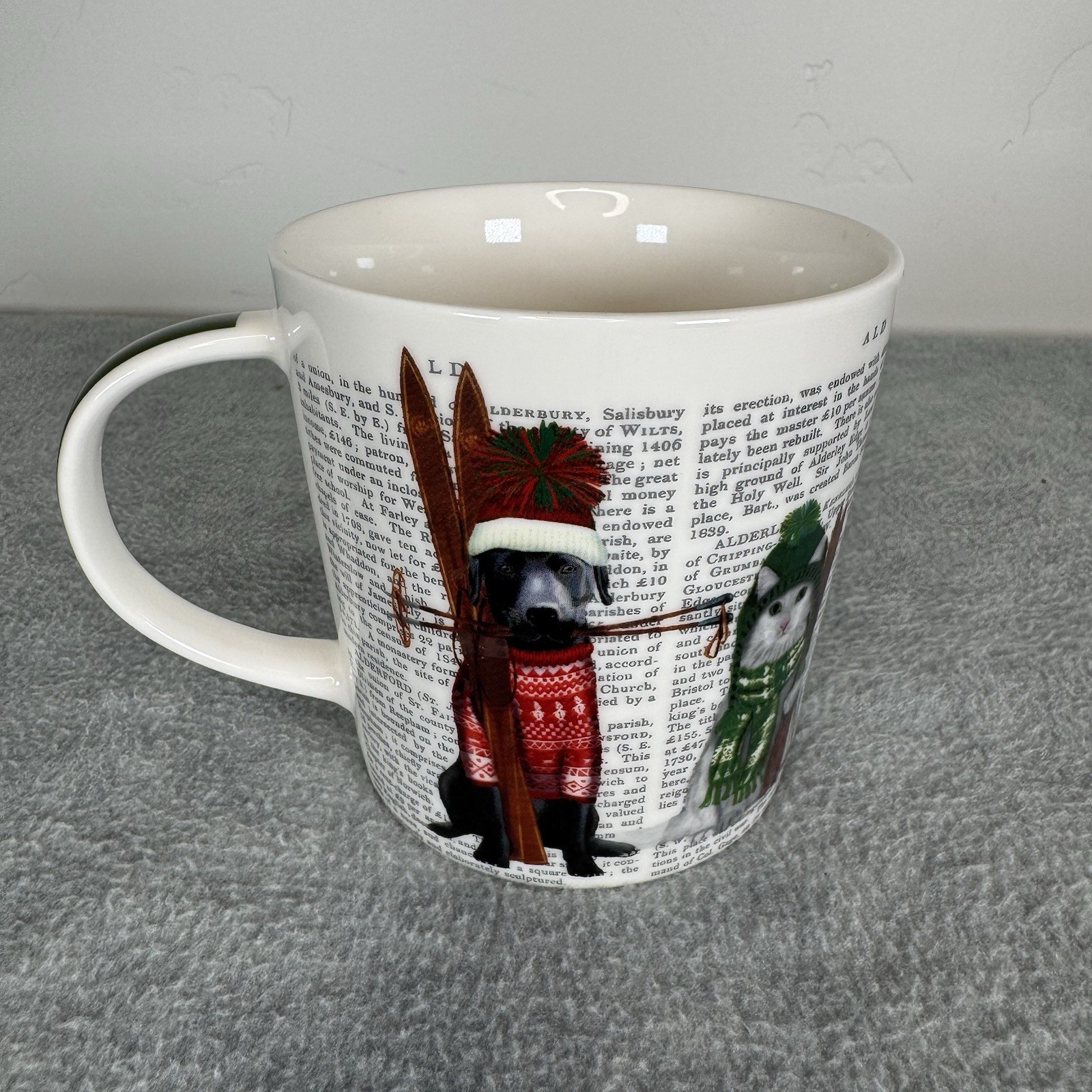 Paper Products Design Coffee Mug 14oz Fab Funky Dog Cat Sweater Ski Christmas