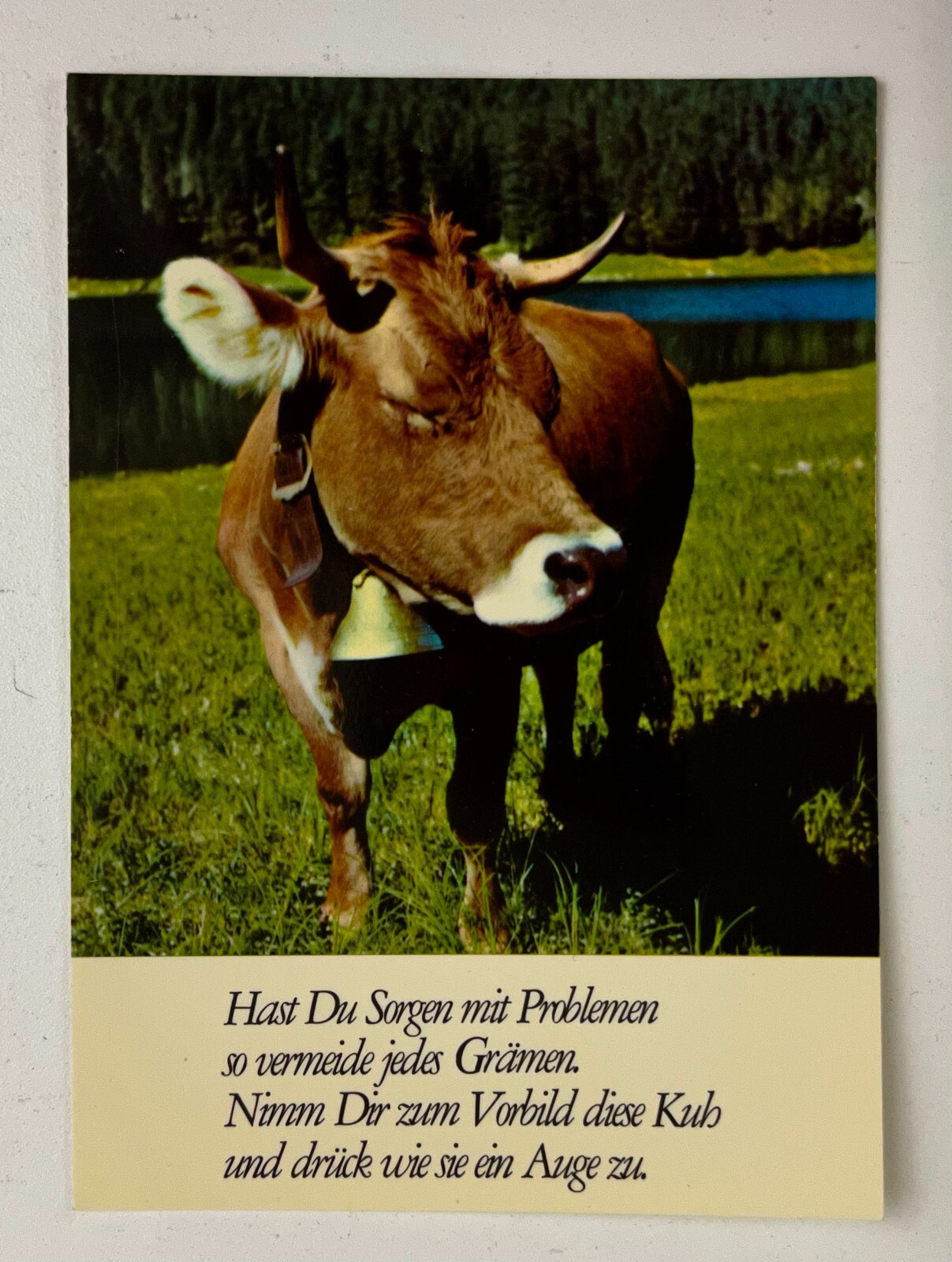 1987 Swiss Alps Cow Bell Poem Bern Switzerland Meadow Lake Vintage Postcard