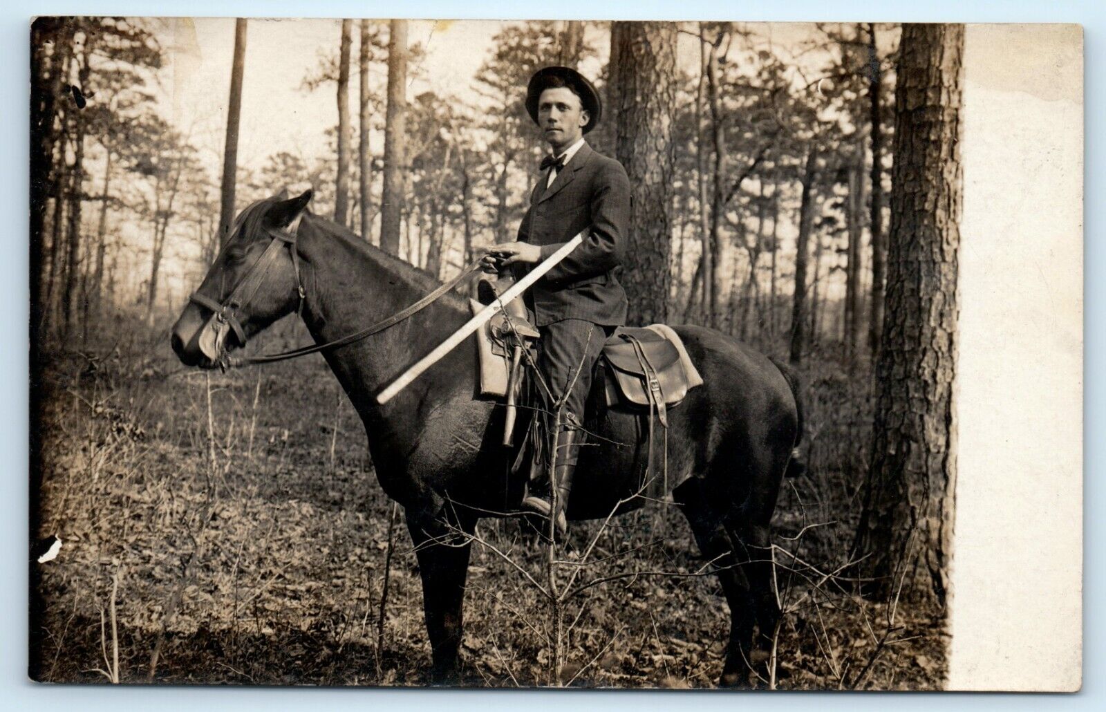 POSTCARD RPPC Man on Horse in Woods Emblemed Hammer Saddle Bag Surveyor? 1904-18