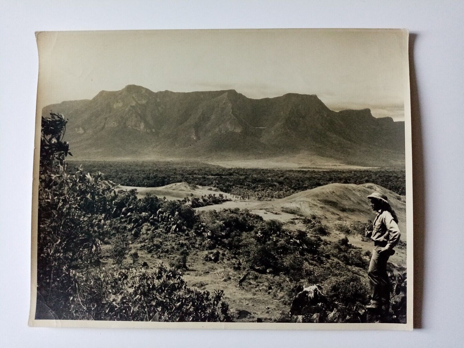 XXR - South America - HECTOR ACEBES* - Acebes in Orinoco - Vintage 04/01/1952