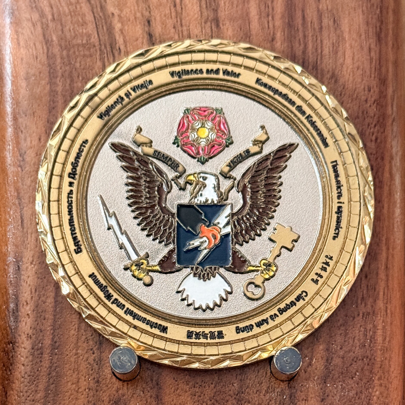 Delta Company 341st MI BN LING Vigilance and Valor Challenge Coin  W#13