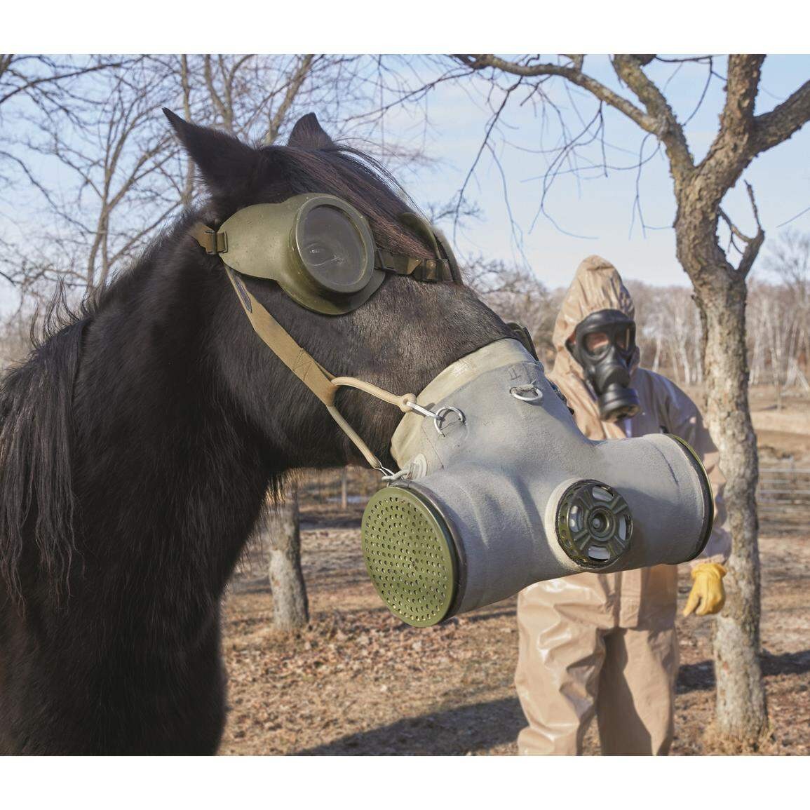 Surplus Romanian Military, Horse Gas Mask