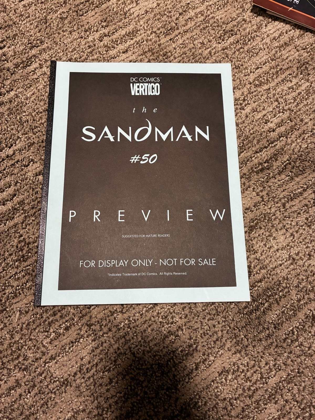 RARE The Sandman #50 Display Retailer Preview Copy DC Comics Vertigo 1993 Mature