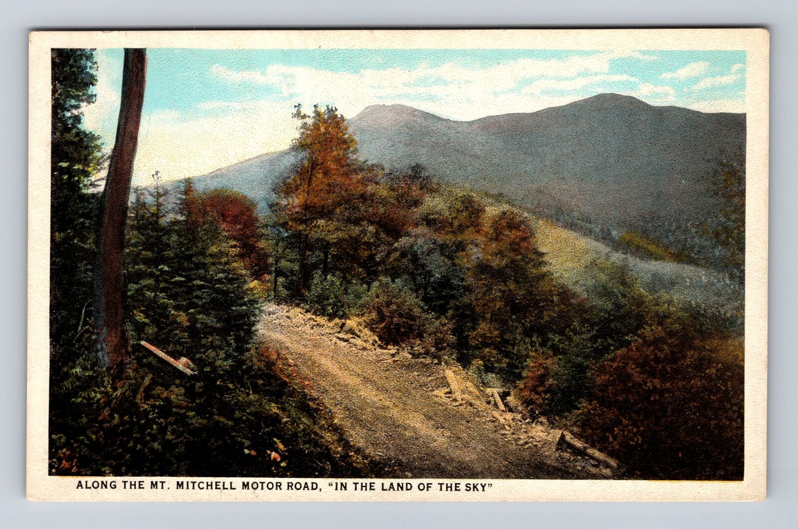 NC-North Carolina, Along Mt Mitchell Motor Road, Vintage Souvenir Postcard