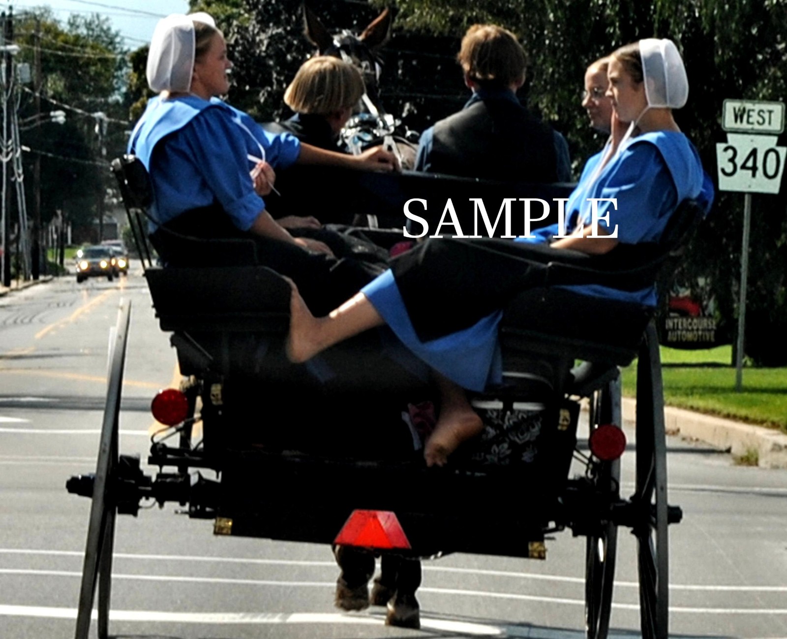 Young AMISH GIRLS Taking A Buggy Ride 5x7 Bordeless PHOTO  (176-i)