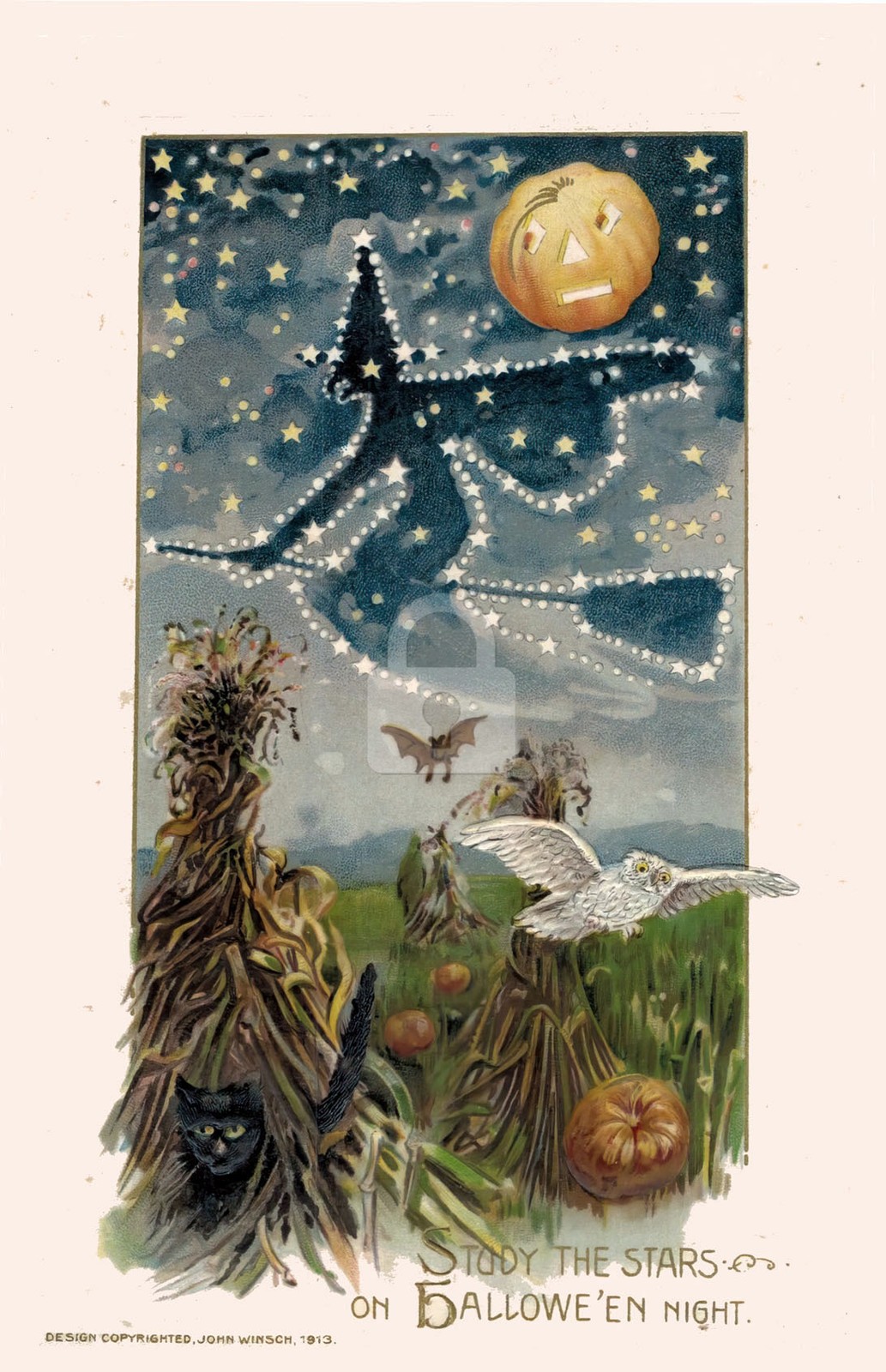 Halloween, Study the Stars Vintage Reproduction Postcard