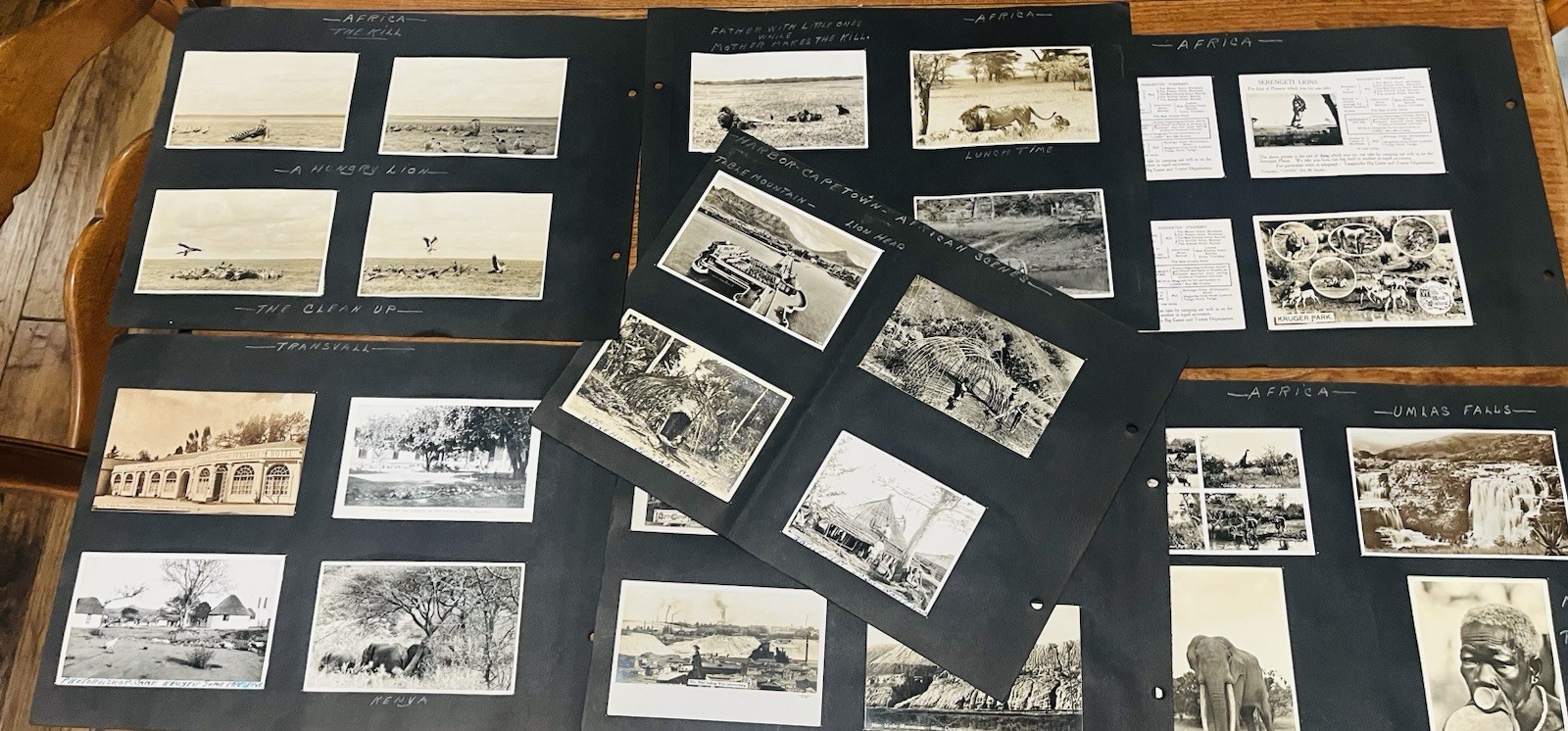 52 Vintage Africa Photo Postcards Safari Gold Mine  Serengeti Lions Ship Ubena