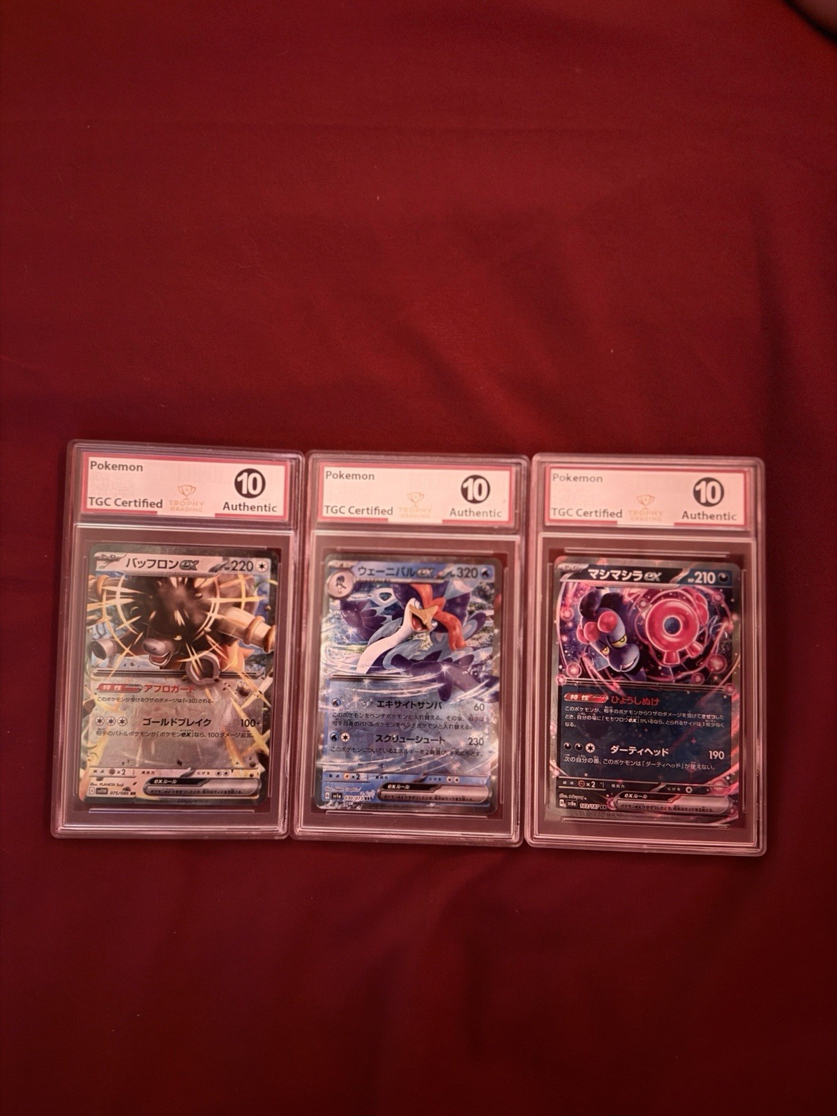 TGC Graded 10 Ex Lot