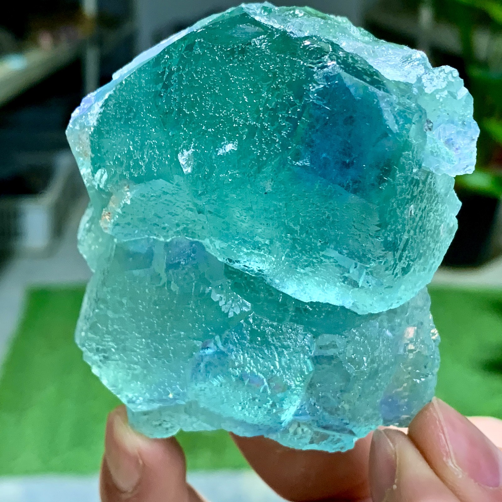 342G Natural blue green cubic fluorite mineral crystal sample/Zhejiang