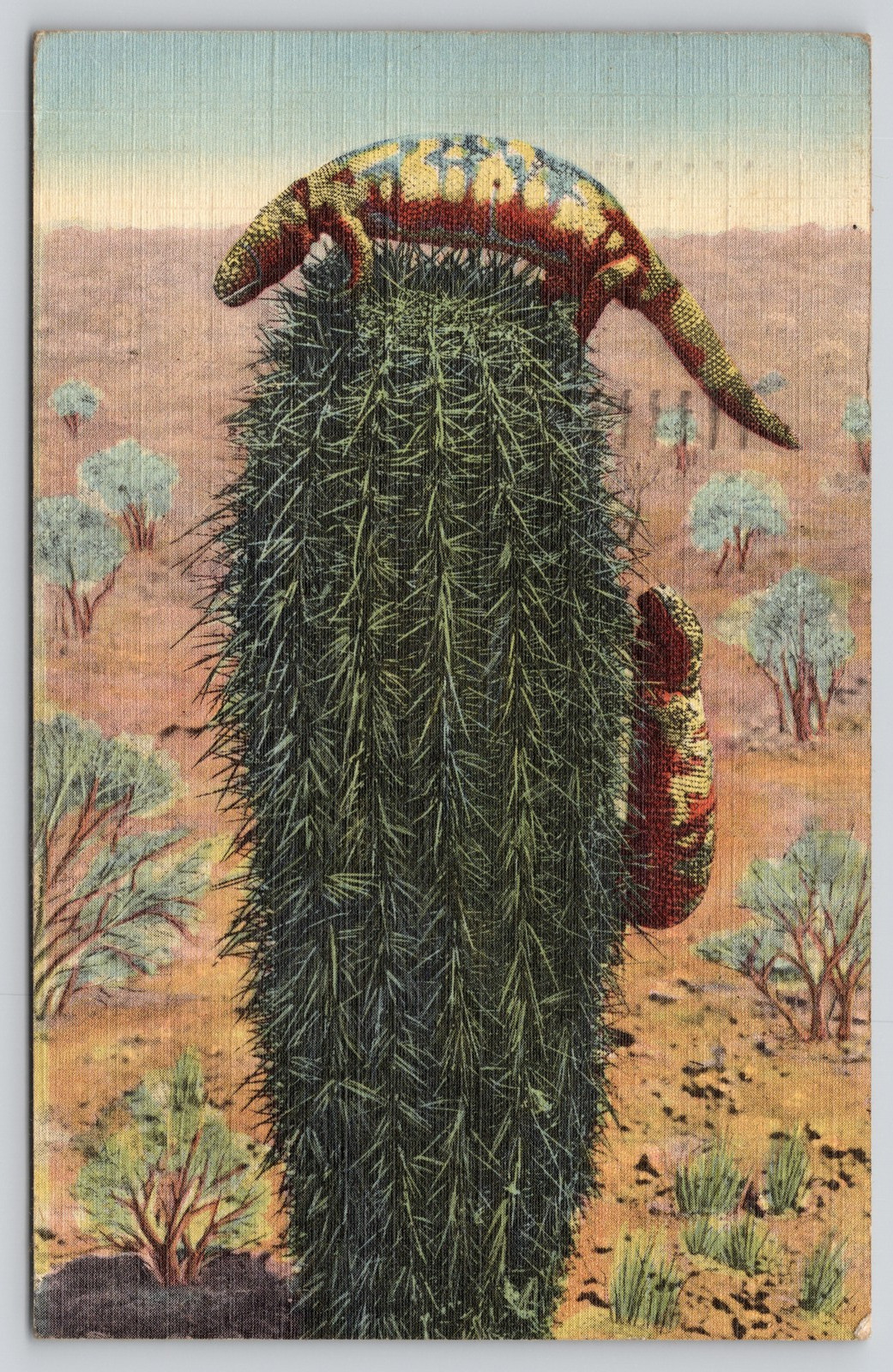 Gila Monster Saguaro Cactus Postcard