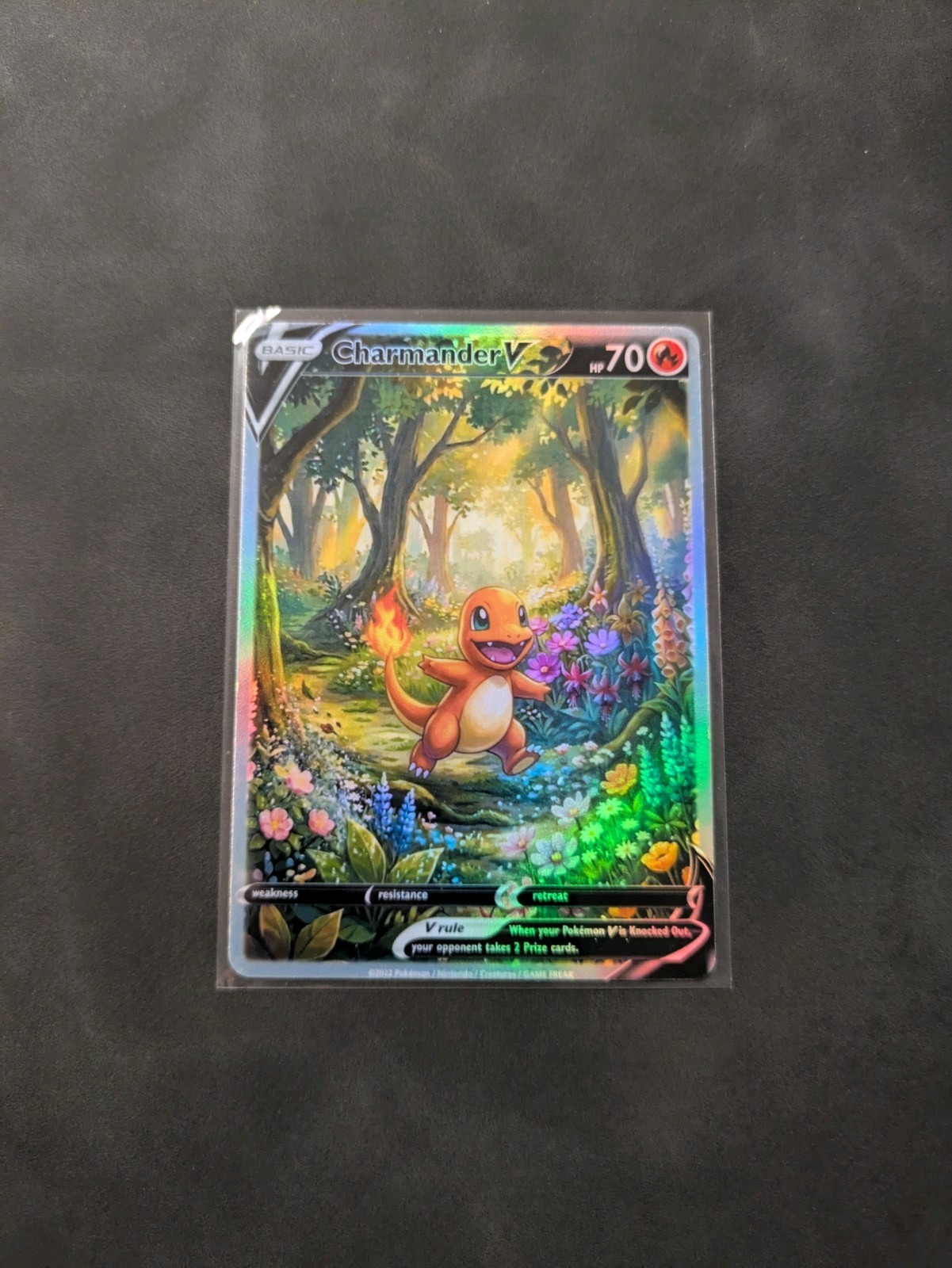 Forest Charmander Holographic Display Card