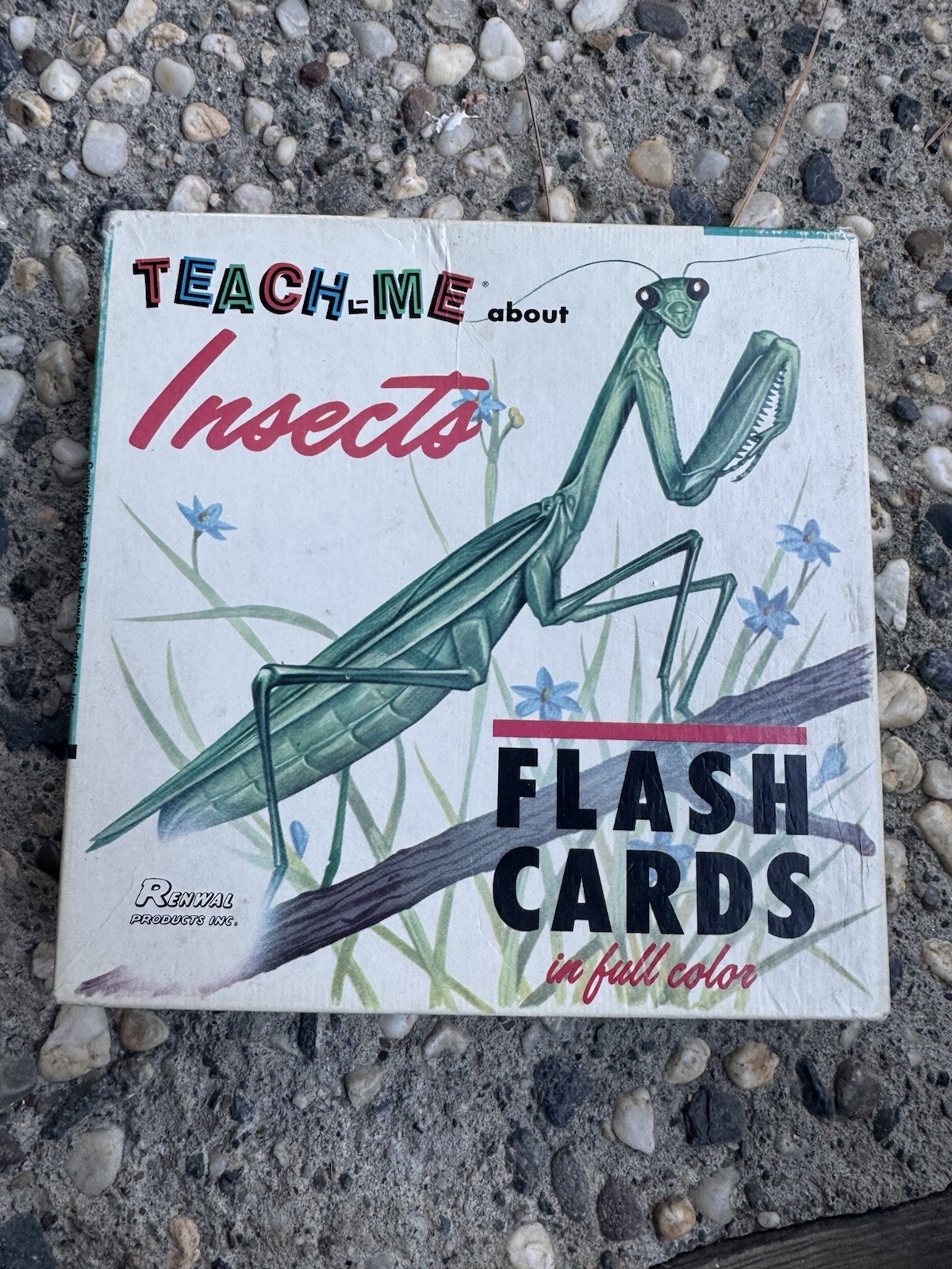 Vintage 1960s Teach-Me About Insects Flash Cards – Renwal, Original Box & Insert