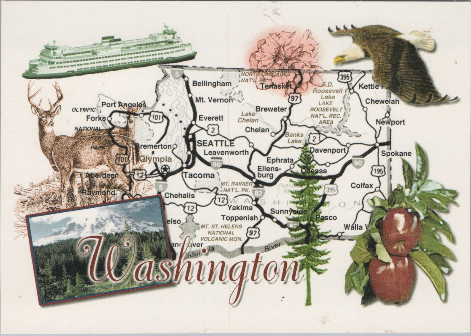 Washington WA Washington State map and state symbols Postcard