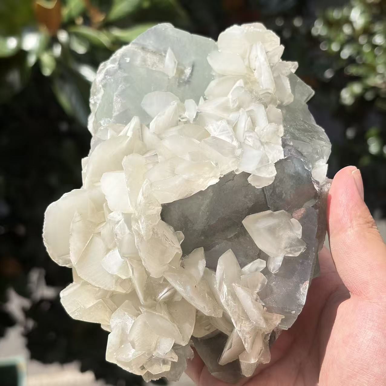 3.65LB Large Cubic Green Fluorite Specimen Crystal Cluster&Scaly Calcite Healing