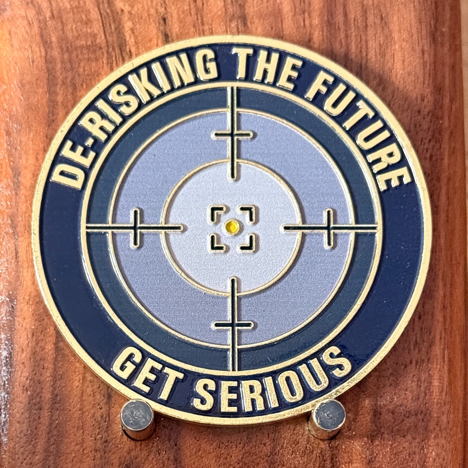 Stealth ISS Group De-Risking The Future Get Serious Challenge Coin  W#27