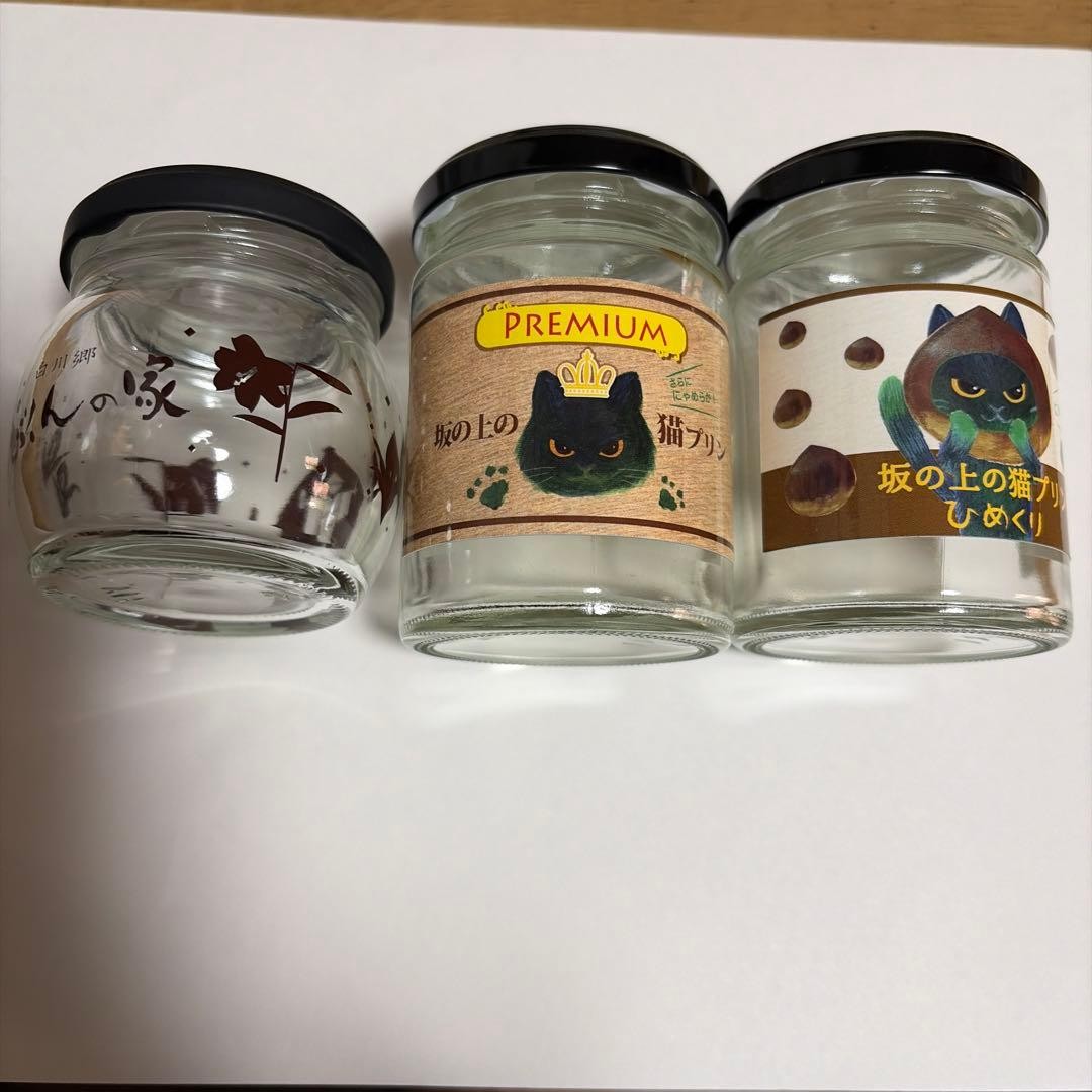 Set of 3 accessory cases