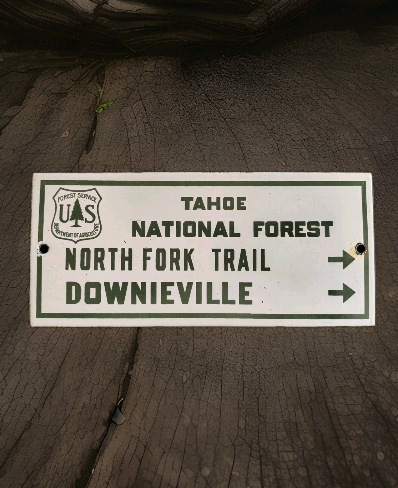 Vintage US Forestry Service Porcelain Sign Lake Tahoe North Folk Downieville CA