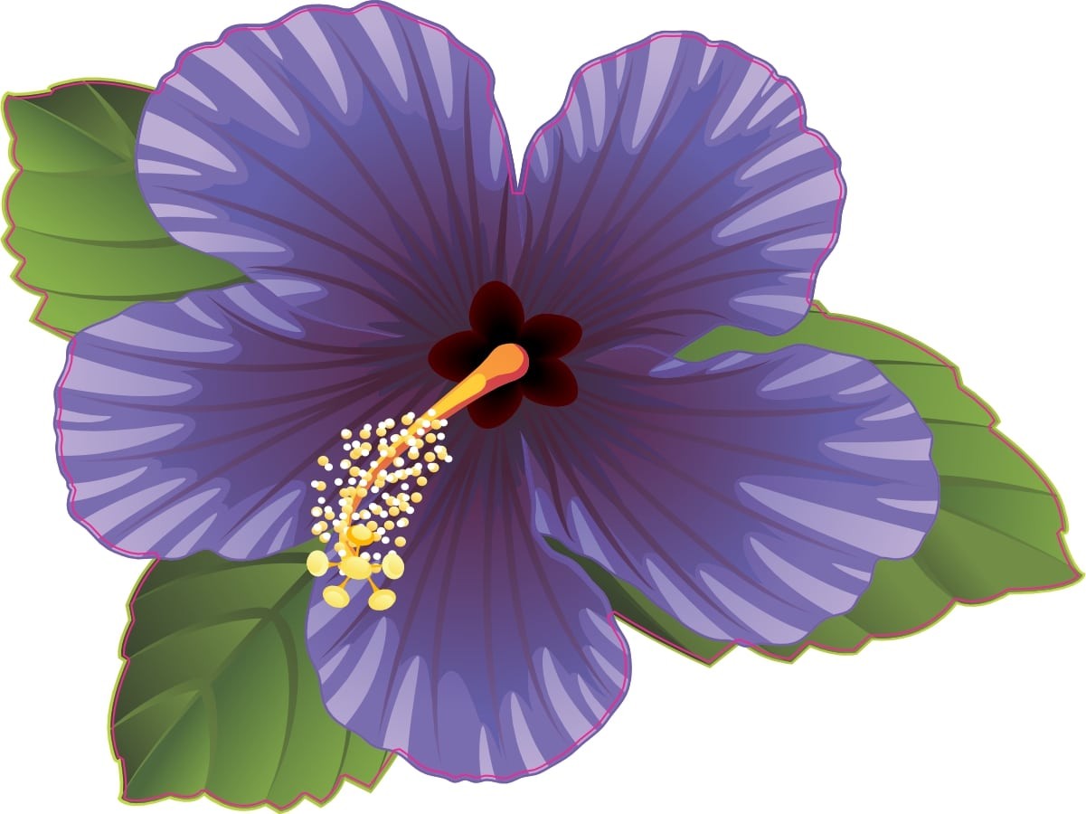 StickerTalk Purple Hibiscus Flower Vinyl Sticker 4x3 inches