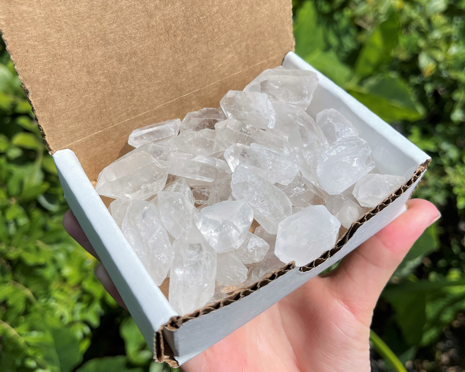 8 oz Clear Quartz Points Crystal Collection: 'A' Grade 1/2 Lb Box Lot