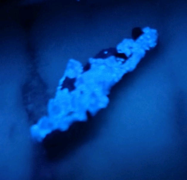 Benitoite Gem Quality With Neptunite- Ultra Rare