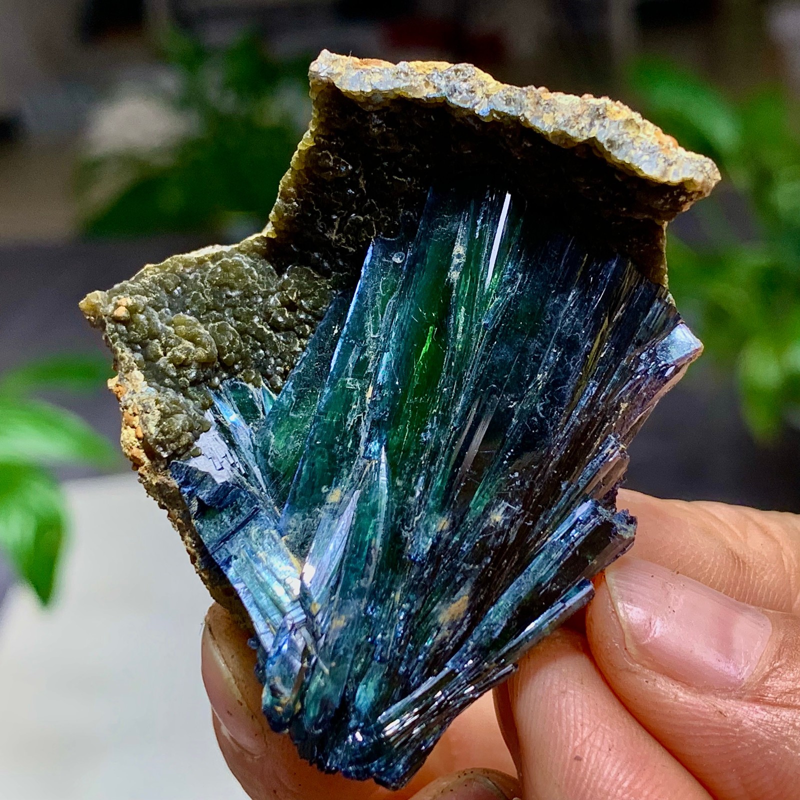 35G Natural Vivianite ludlamite Quartz Crystal Mineral Samples /Brazil