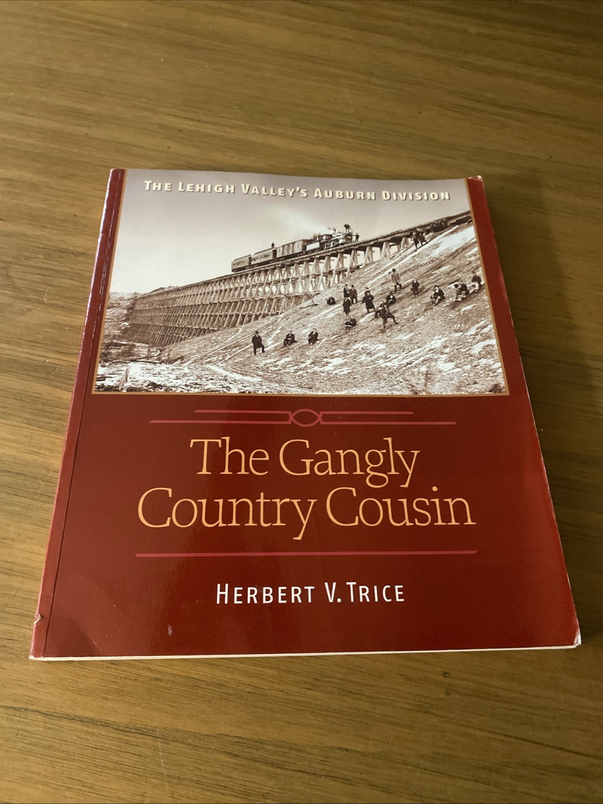 Gangly Country Cousin, The Lehigh Valley's Auburn Division by Herbert Trice