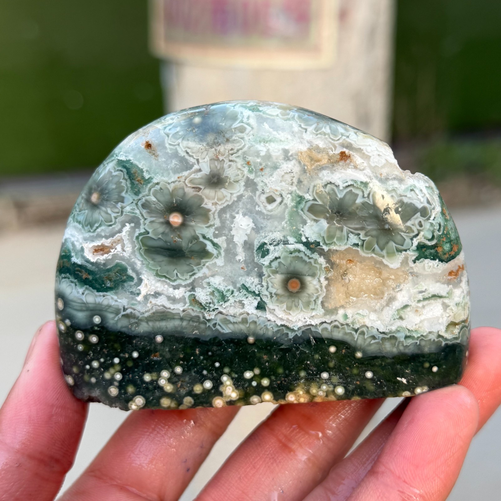 220g Natural Ocean Jasper With Flower Freeform Quartz Crystal Mineral Specimen