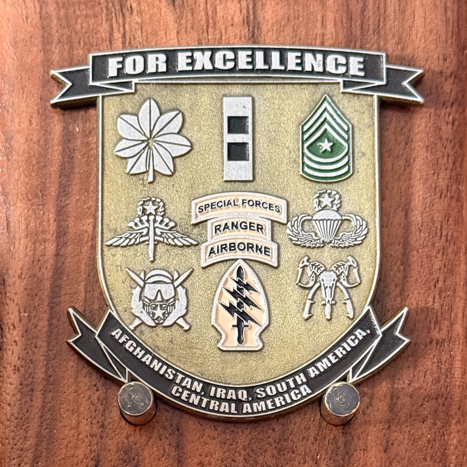 Special Forces Ranger Airborne For Excellence Military Challenge Coin  M#14