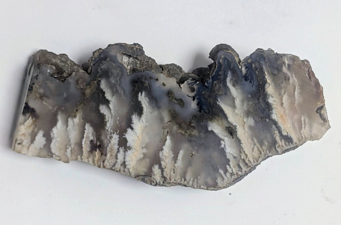 Graveyard Point Plume Agate Slab - Angel Wing Chalcedony Lapidary Specimen OR