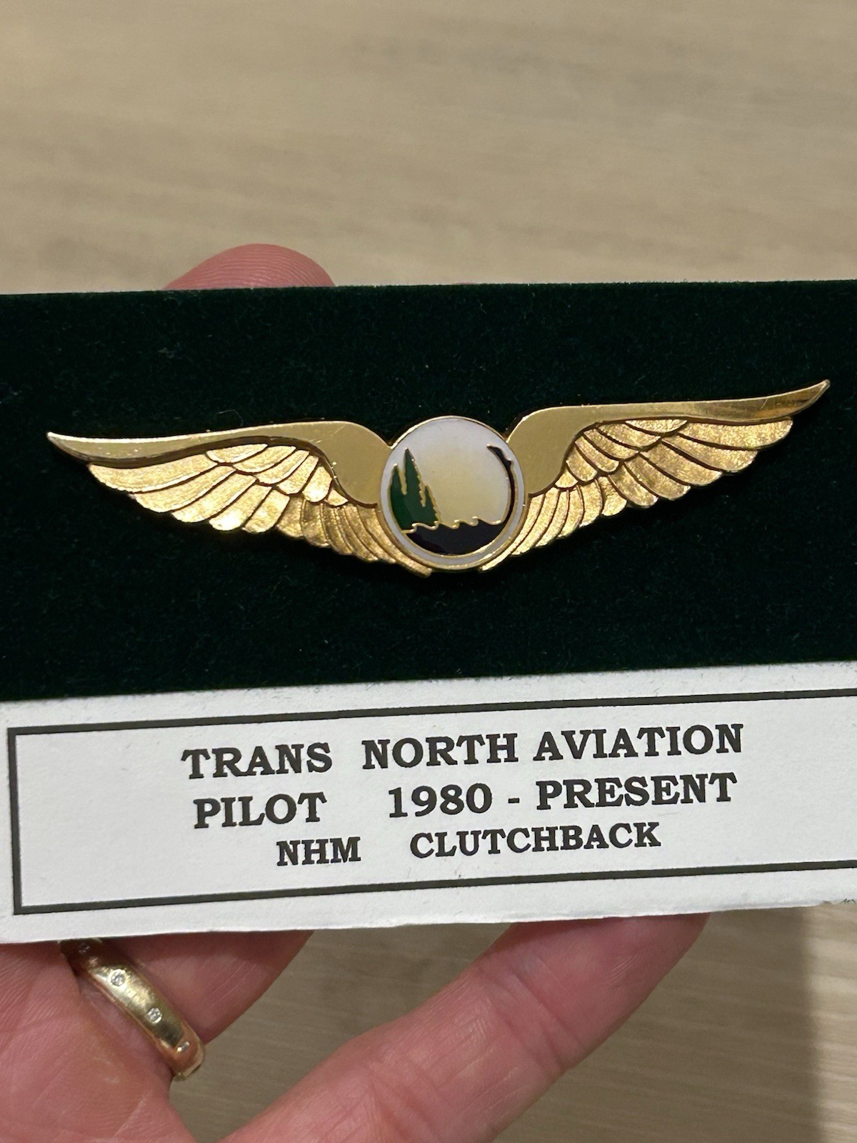 Rare Vtg Trans North Aviation Pilot Wings Pin Micro Fleet Executive Airline