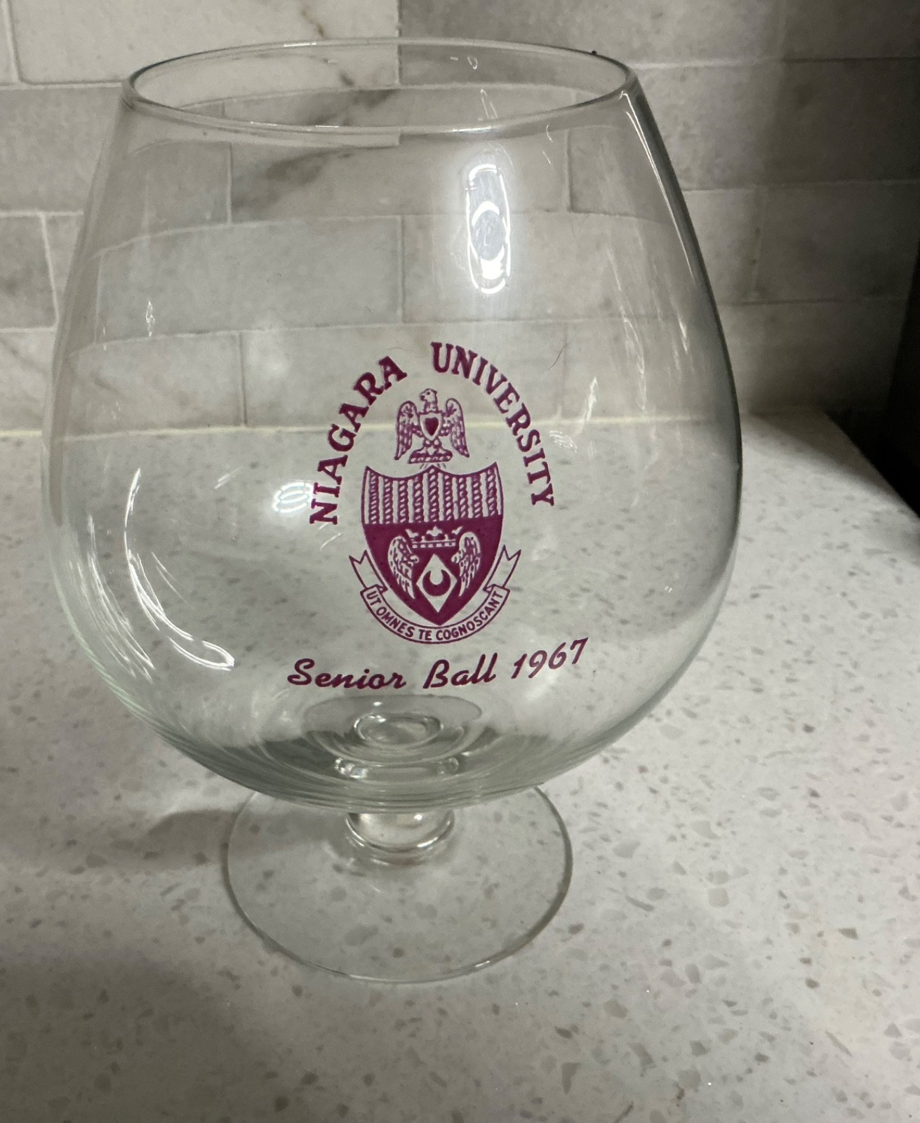 Vtg Niagara University Large Brandy Snifter Senior Ball 1967 Vtg Niagara University Large Brandy Snifter Senior Ball 1967