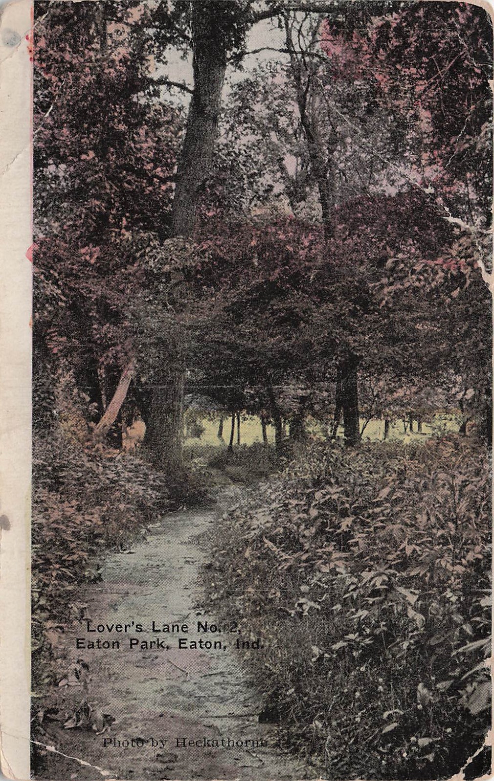 Eaton Park Indiana Lovers Lane Delaware County Vtg Postcard 41A