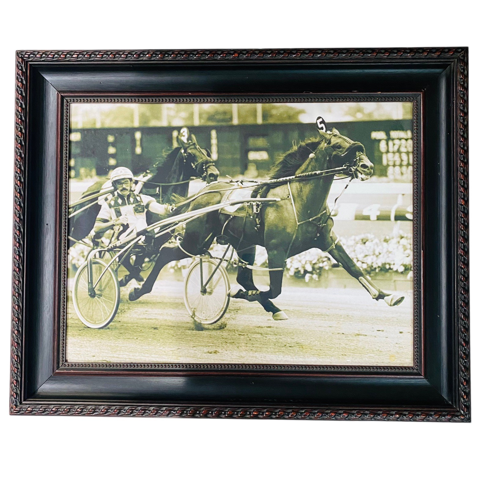 Large Vintage Harness Racing Horse Sulky Framed Photograph 38 x 28.5” XL