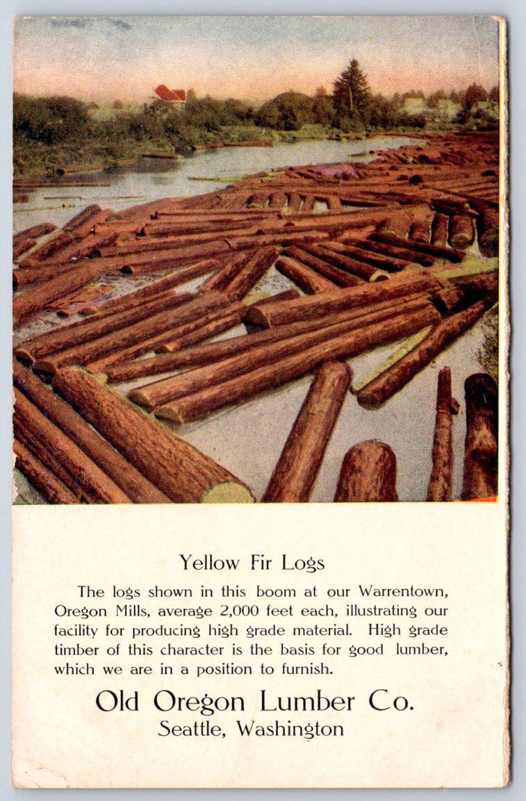 Seattle Antique Oregon Postcard WARRENTON Yellow Fir Logs Lumber 1908
