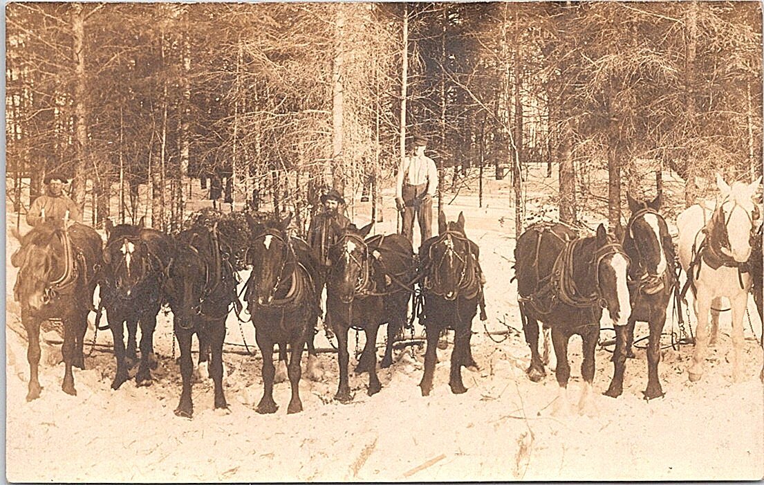 RPPC Beltrami County Bemidji Minnesota Logging Scene Occupational early 1900s