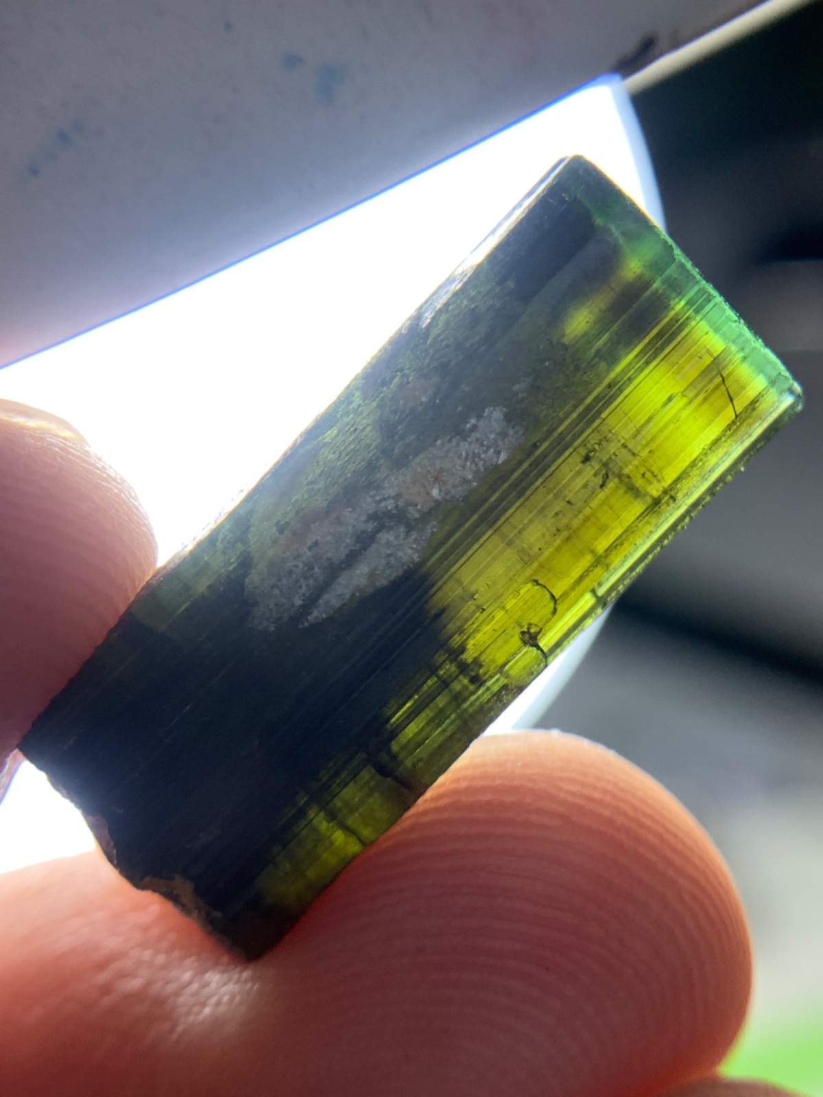 21.80 CRT’s Wow Amazing Natural & Nice Green Cap Rough Tourmaline Large Piece