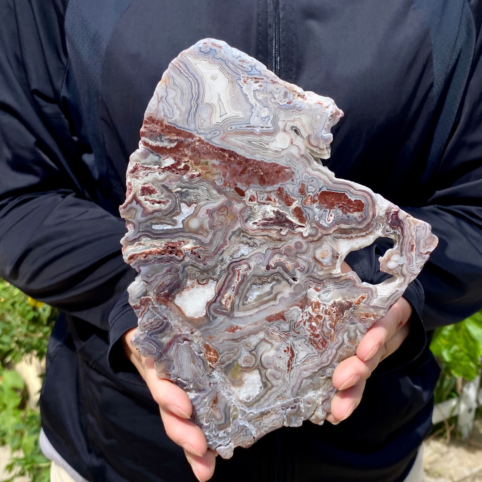 1.24LB Natural Crazy Lace Agate Slab Polished Raw Mineral Specimen Crystal Heali