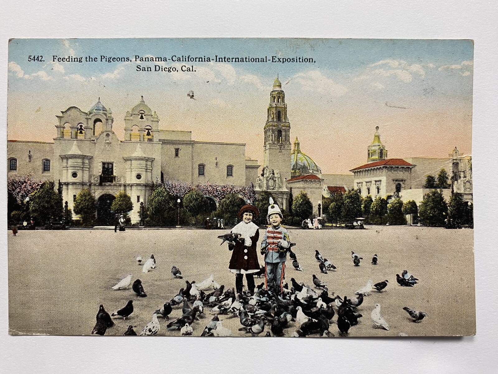 Vintage 1910 Feeding The Pigeons Panama-CA Exposition San Diego CA Postcard