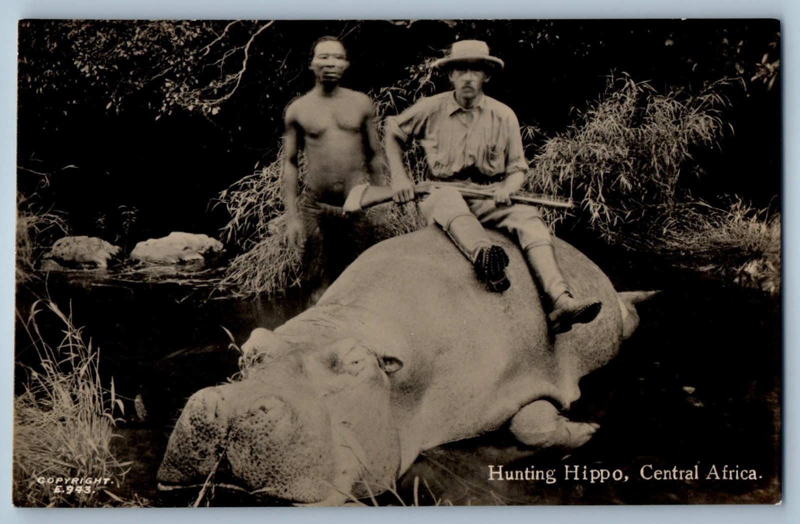 Africa Postcard Hunting Hippo Central Africa Sapsco c1950's RPPC Photo