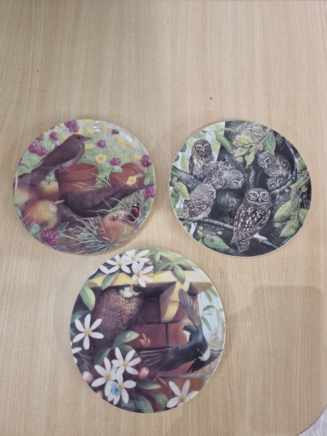 Coalport Garden Visitors Plate x3