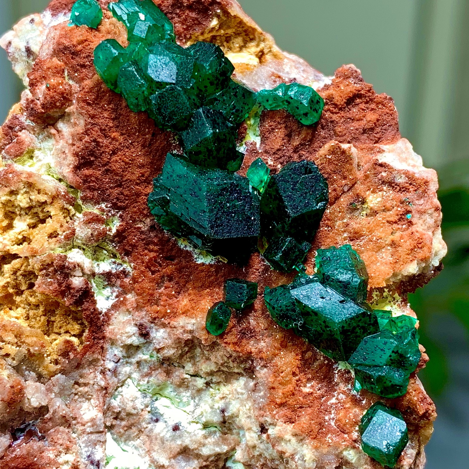 86G Natural Deep Green Grainy dioptase gemstone cluster mineral specimen