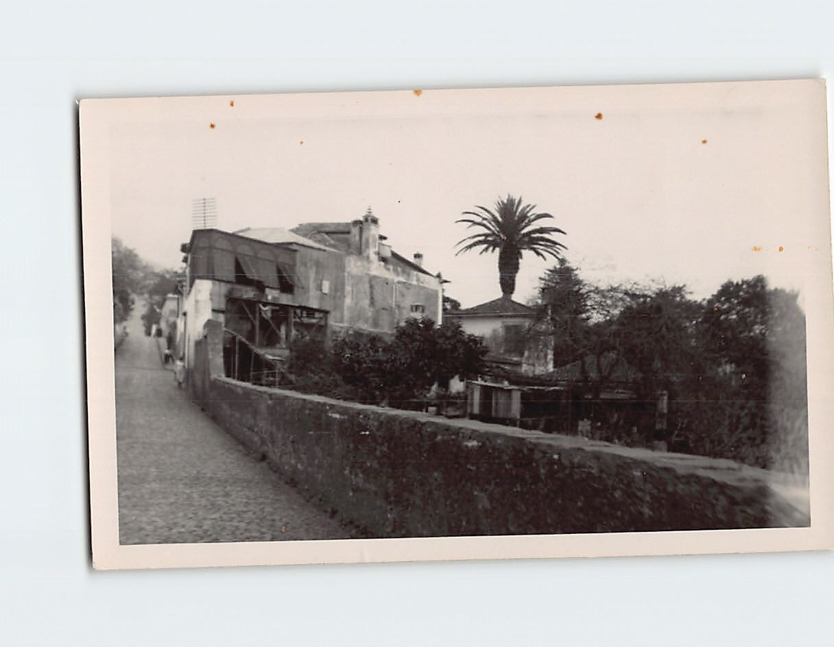 Postcard Buildings Trees Alley Scenery